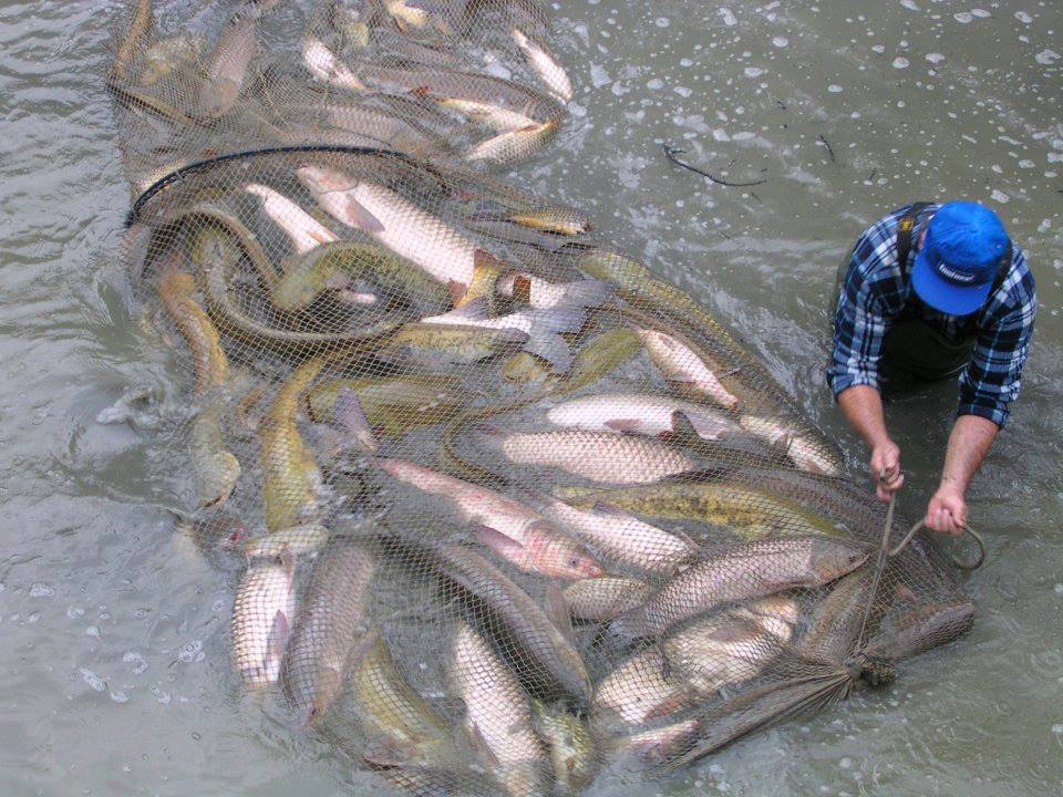 滨海边疆区居民要求州长允许他们捕鱼
